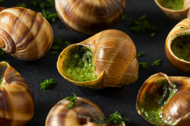 istock Fancy French Hot Escargot Appetizer 885046508