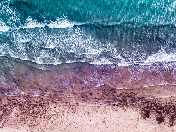 istock Aerial View of a Vibrant Shoreline. 885051030
