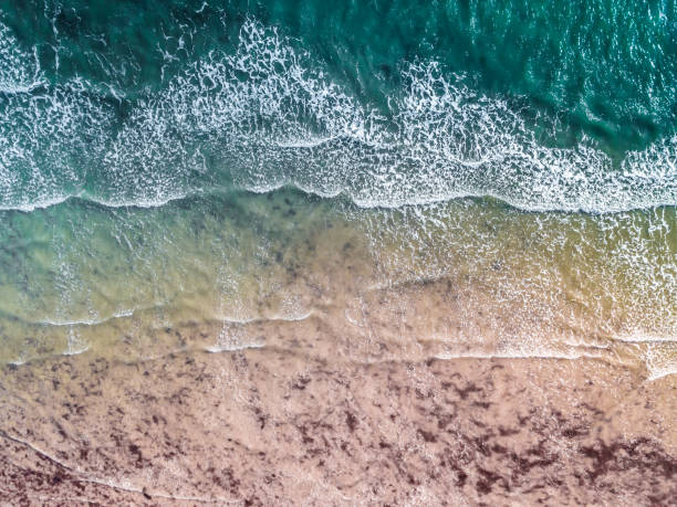 istock Aerial View of a Vibrant Shoreline. 885051034