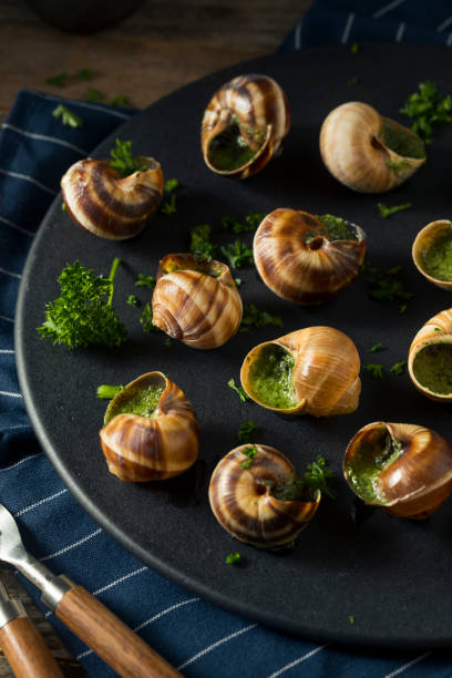 istock Fancy French Hot Escargot Appetizer 885051364