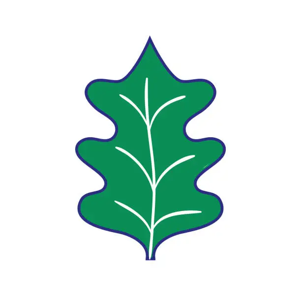 Vector illustration of full color tropical kale leal natural plant