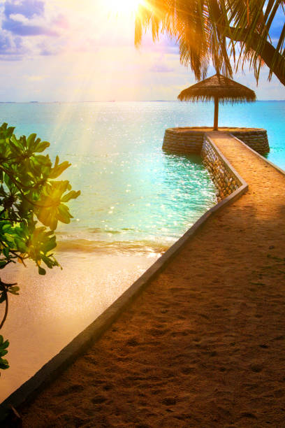 istock At the beach on Maldives 885070526