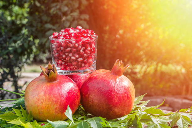 pomegranate seeds pomegranate the plantation course at kapalua stock pictures, royalty-free photos & images