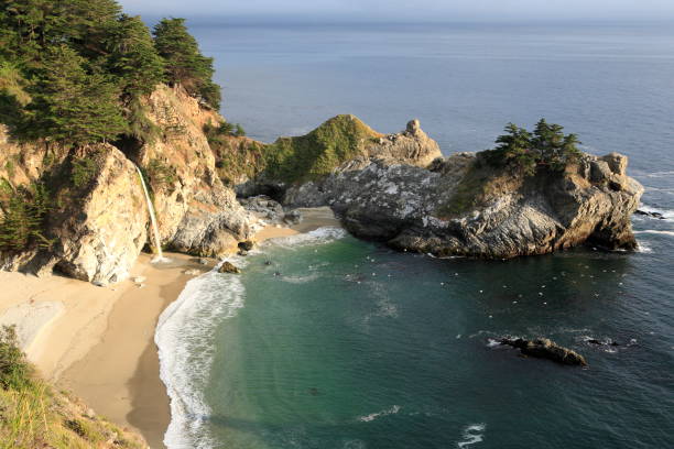 istock Julia Pfeiffer Burns State Park, near CA state route 1 885141624
