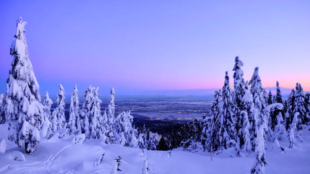 skyline von vancouver im winter von cypress mountain ski-abfahrt. - scenics skyline panoramic canada place stock-fotos und bilder