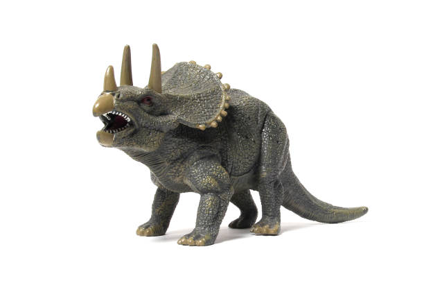 istock dinosaurs  - Triceratops dinosaurs toy on digital imaging like a real isolated on white 885197106