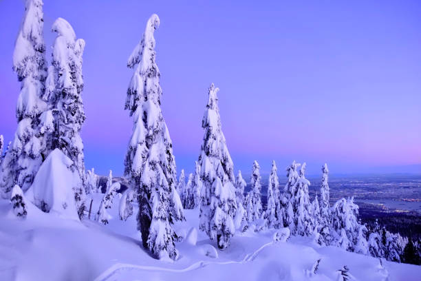 istock Ski run on Cypress Mountain and Vancouver skyline at sunset. 885204512