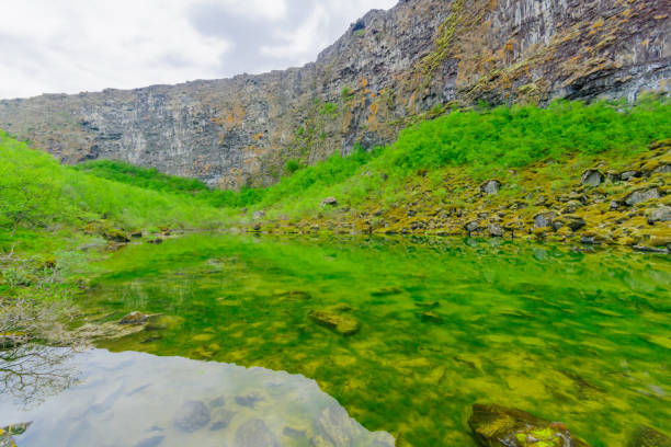 istock The Asbyrgi canyon 885209532