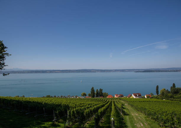 istock Landscape of the Lake Constance or Bodensee in Germany 885227482