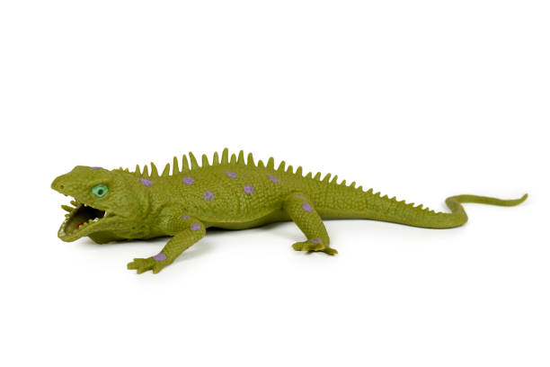 istock Silicone toy iguana isolated on white background. Exotic animal game. 885234270