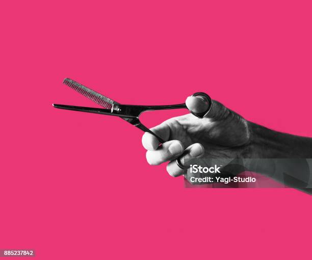 Japanese Workman Hands Stock Photo - Download Image Now - Scissors, Hairdresser, Hand