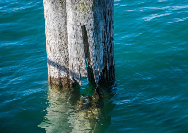 istock Landscape of the Lake Constance or Bodensee in Germany 885240174