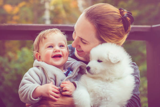 istock Family with samoyed puppy 885245332