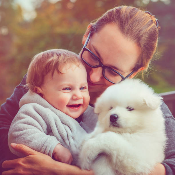 istock Family with samoyed puppy 885245338