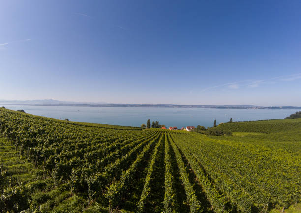 Landscape of the Lake Constance or Bodensee in Germany