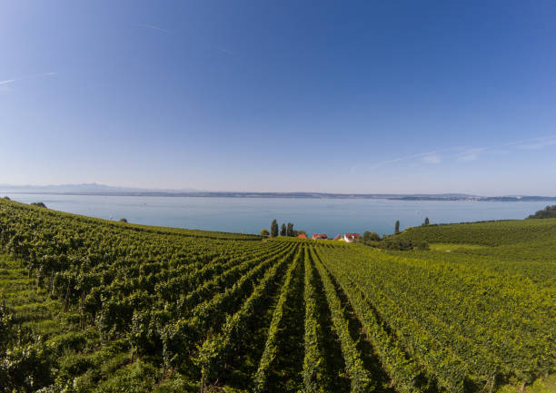 Landscape of the Lake Constance or Bodensee in Germany stock photo