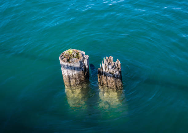 Landscape of the Lake Constance or Bodensee in Germany