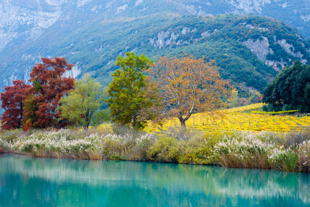 istock Lake Toblino, Calavino, Italy. 885266178