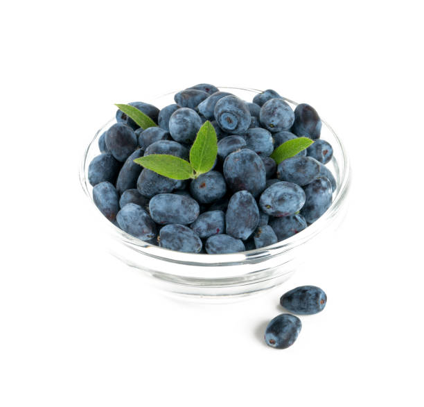 istock Honeysuckle berries in a bowl isolated on white 885266186