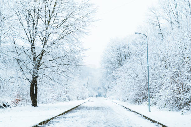 istock city park in snow in winter morning 885266476