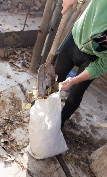 istock Cleaning the leaves into a bag 885339736