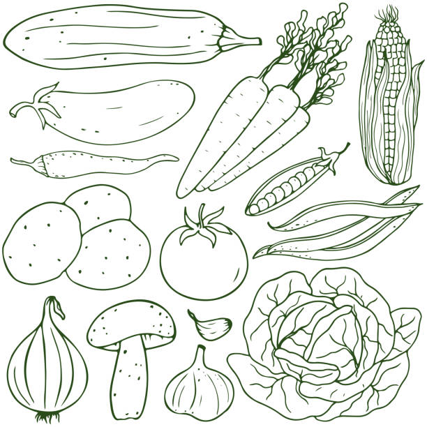 istock Healthy lifestyle vector design elements. Healthy hand-drawing colorful vegetables , fruits, berries, nuts, mushrooms 885346048