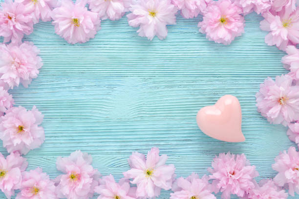 istock pink cherry fresh flowers frame with a heart on blue wooden background flat 885364200