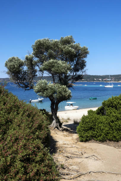 istock Beach in Ouranoupolis, Greece 885365254