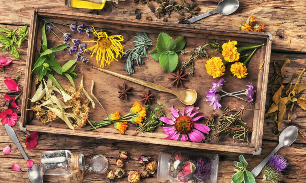 istock Healing herbs in wooden box 885365262