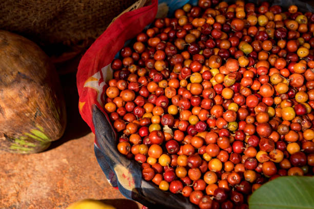 istock Close-up of jujube fruit 885382682