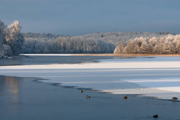 istock Vinter landskap i Sverige 885394024