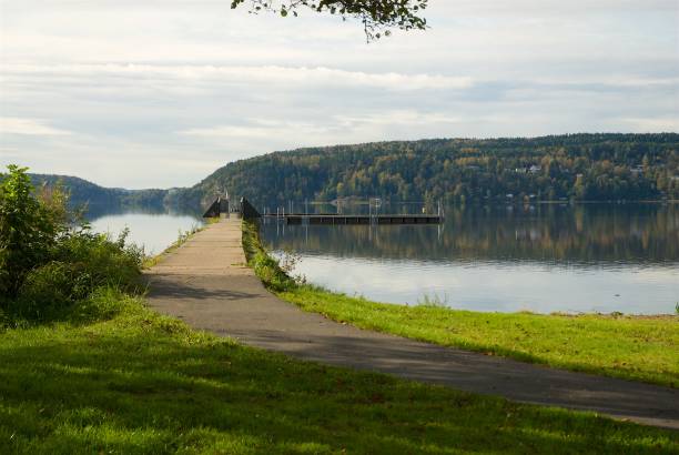 istock Svenskt sommarlandskap 885394136