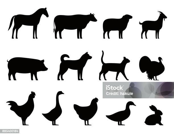 Farm Animals Black Icons Set Livestock Vector Illustration Stock Illustration - Download Image Now