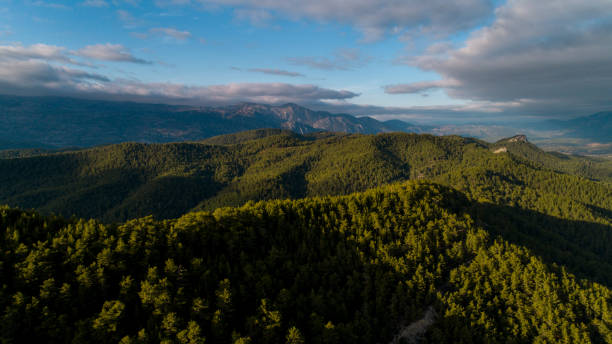istock View from the top of the forest 885400682