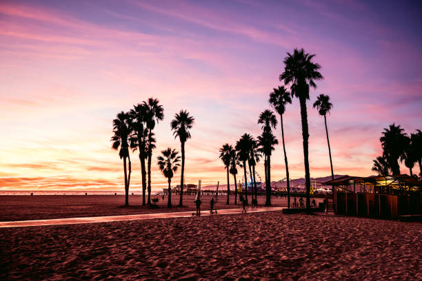 캘리포니아 산타 모니카-로스 앤젤레스에에서 아름 다운 석양 - santa monica venice beach california santa monica beach 뉴스 사진 이미지