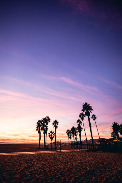 california beautiful sunset in santa monica - los angeles - santa monica venice beach california santa monica beach imagens e fotografias de stock