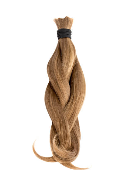 istock Braided natural hair isolated on white background 885412014