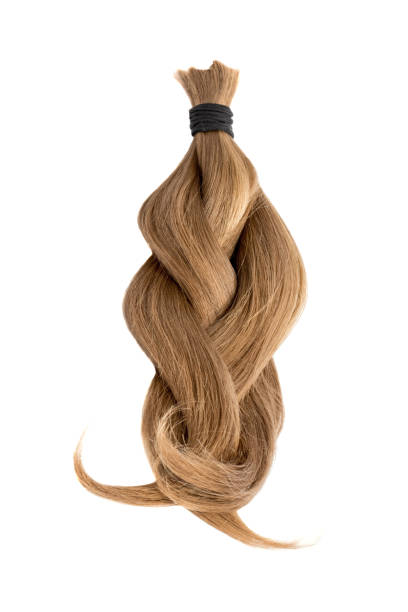 istock Braided natural hair isolated on white background 885412016