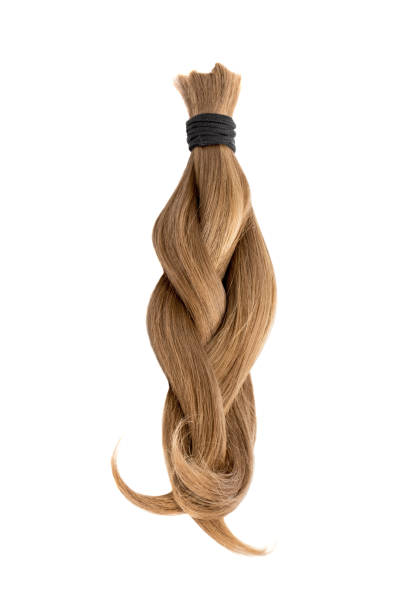Braided natural hair isolated on white background