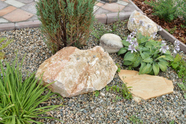 istock Blooming flowers in flower bed with rocks, Alpine slide 885432568