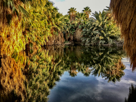 Desert oasis close to Interstate 8 near Holtville, California.