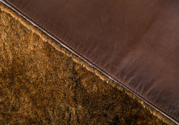 Fragment of leather coat