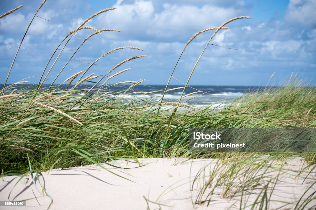 Dunes and sea Dunes at the North Sea Summer Stock Photo