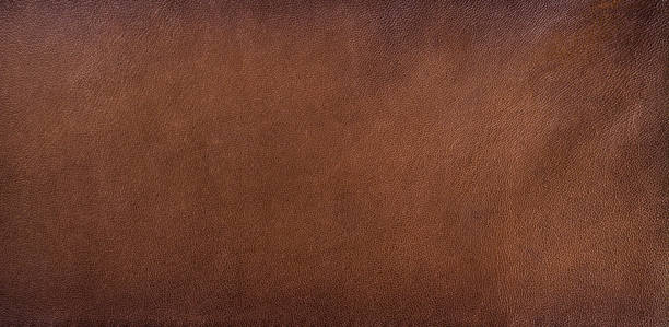 genuine leather texture background - animal skin fotos imagens e fotografias de stock