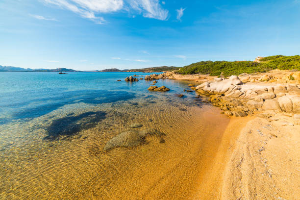istock Golden shore in Caprera island 885435848