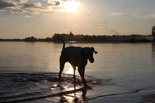 The photograph taken of the lake during sunset