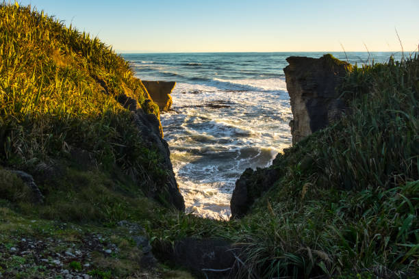 paysage autour de punakaiki pancake rocks et les blowholes, nouvelle-zélande - field event photos et images de collection