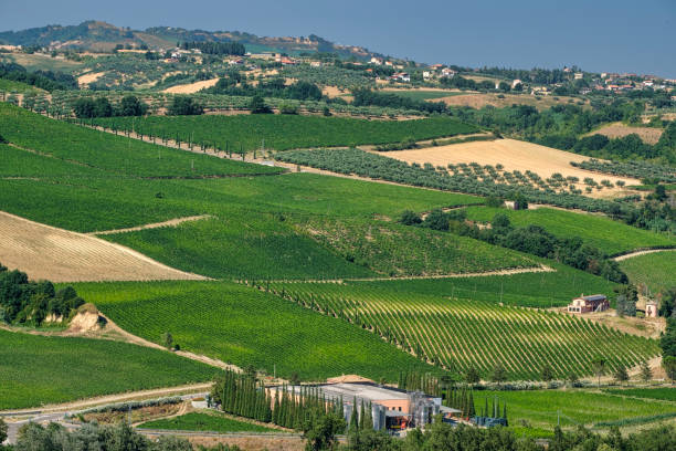 istock Landscape near Teramo (Abruzzi) at summer 885444088