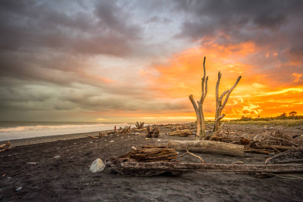 istock Night at Hokitika beach, New Zealand 885444150