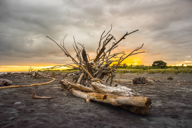 istock Night at Hokitika beach, New Zealand 885444208